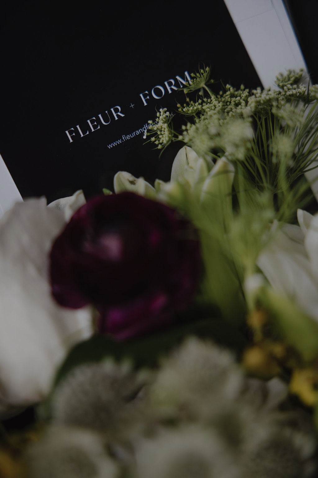 Valentine's Collection - Neutrals