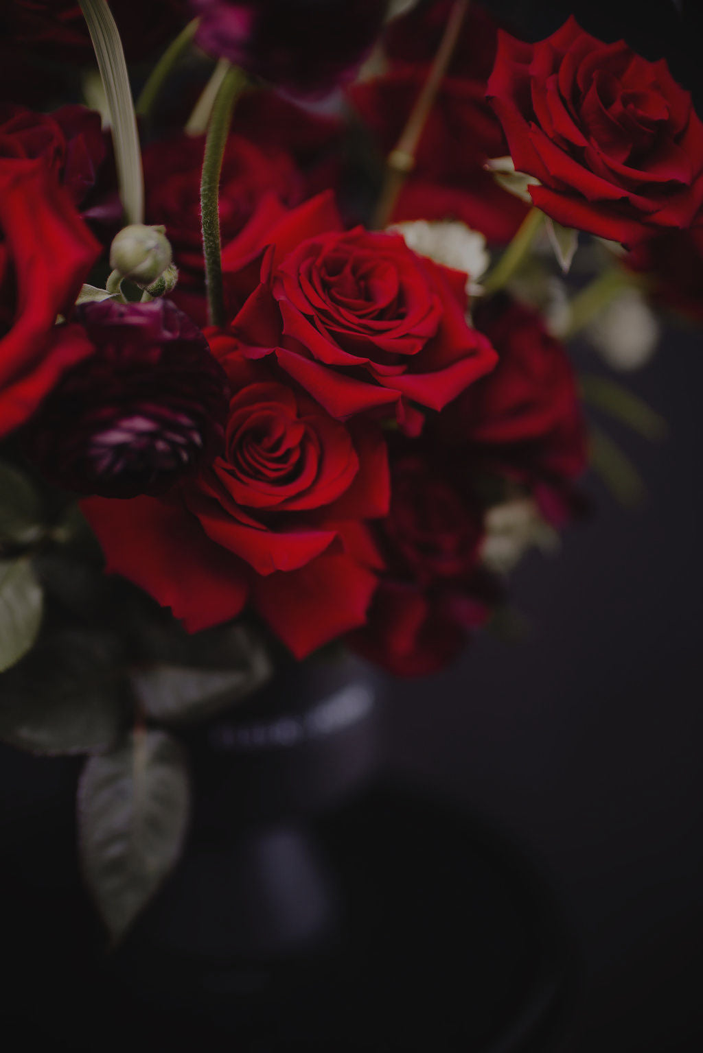 Valentine's Collection - All Red