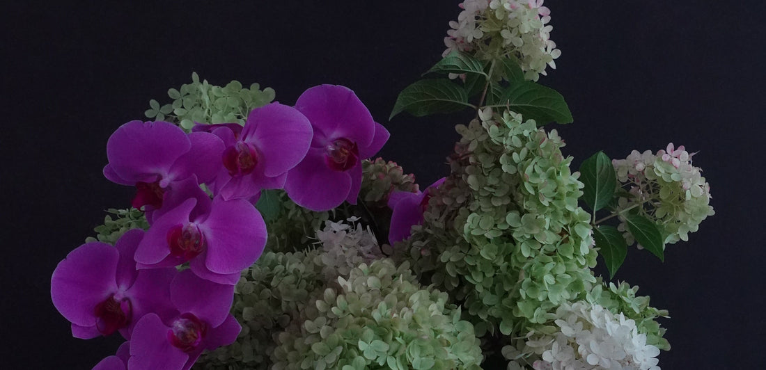 Beyond Roses: The Top 5 Valentine’s Day Floral Trends for 2026