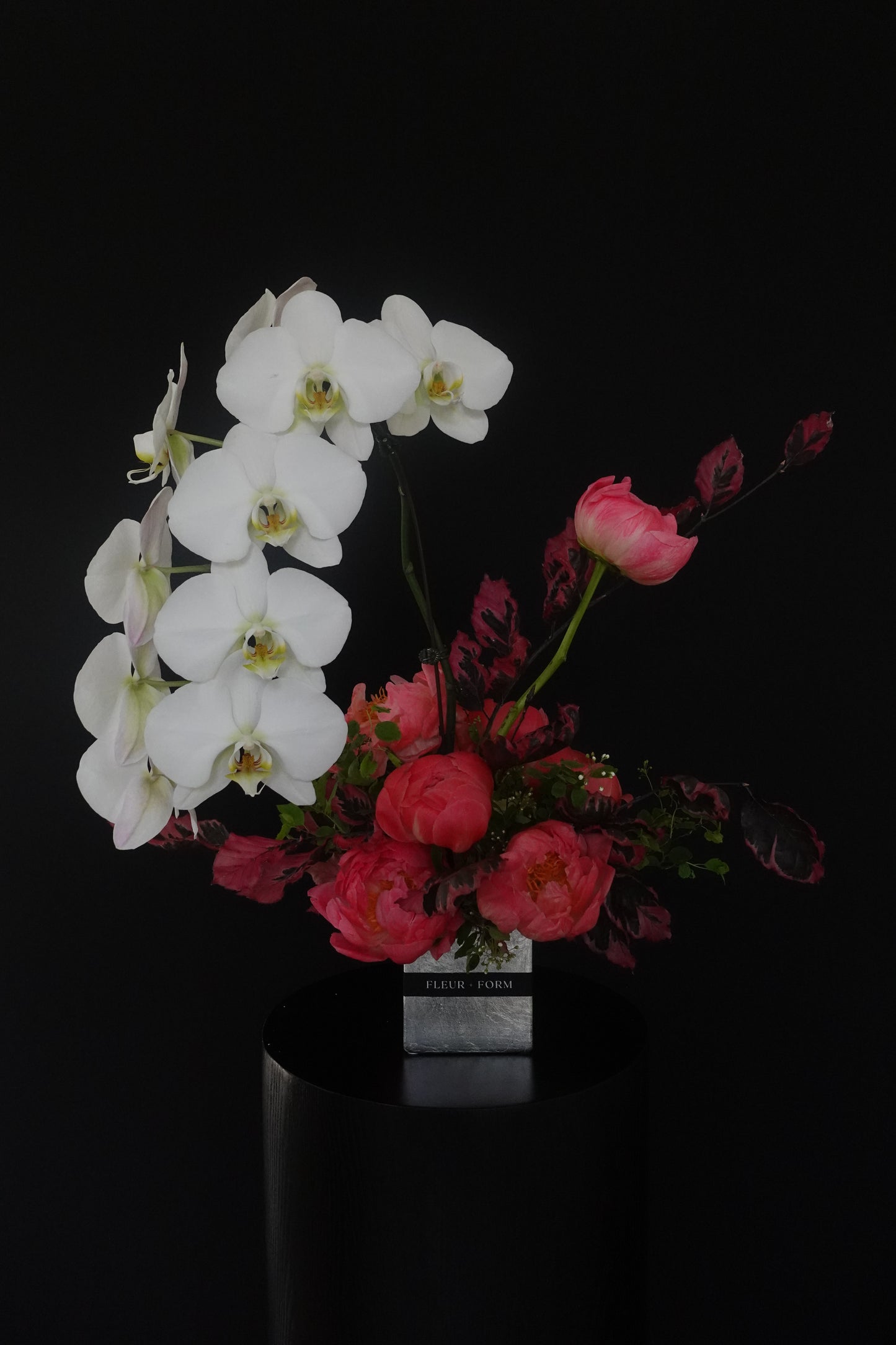 Orchid Cascade