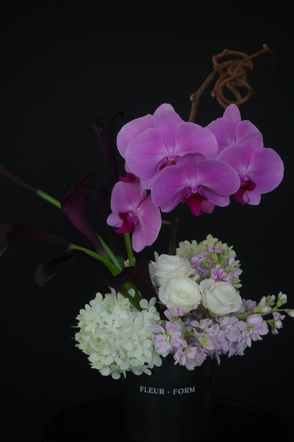 Orchid Cascade