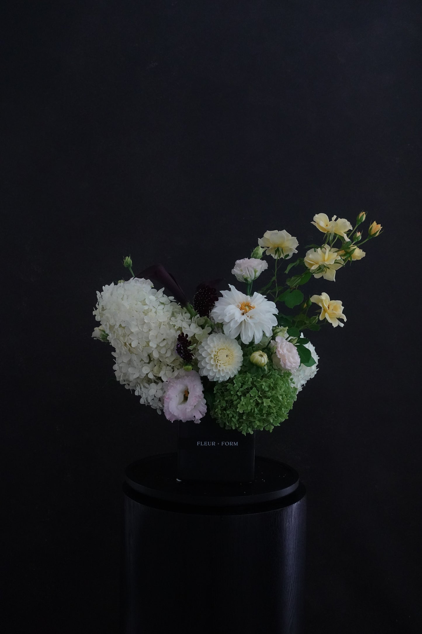 Designer's Choice