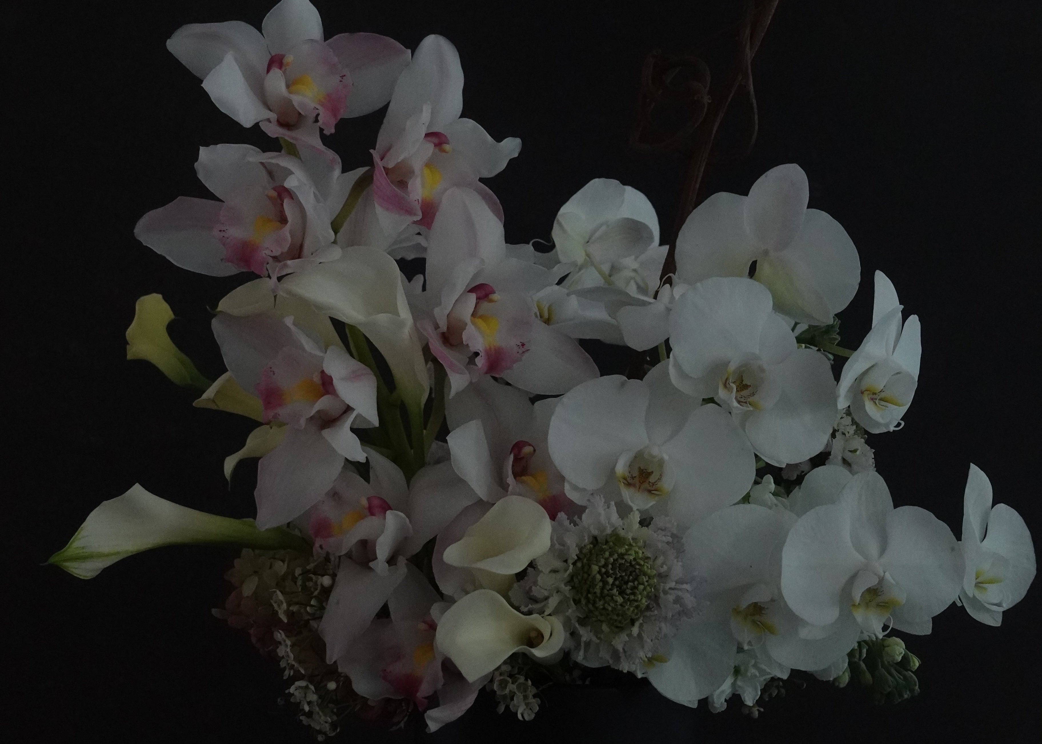 Bouquet of white and pink orchids on a dark background