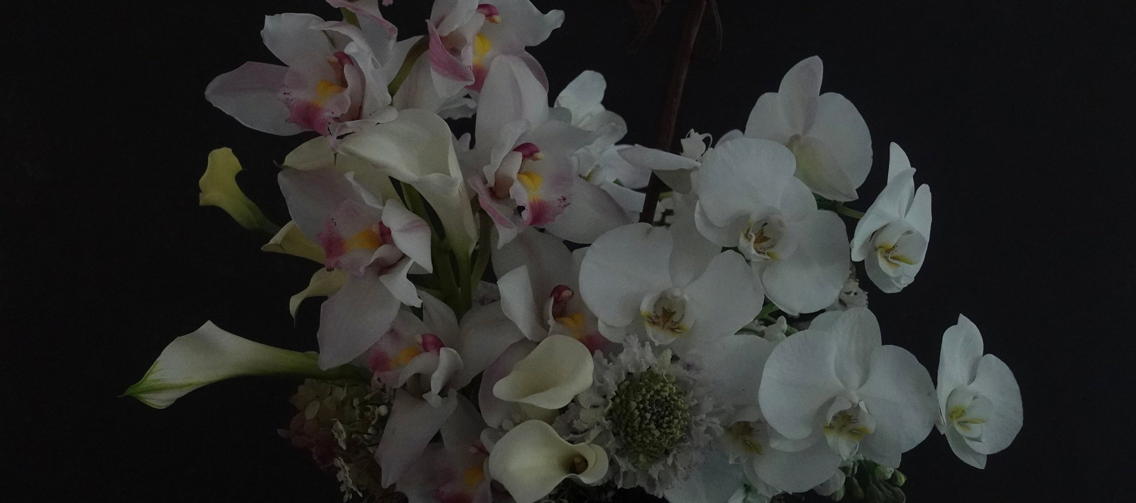 Bouquet of white flowers with greenery in a black pot on a dark background
