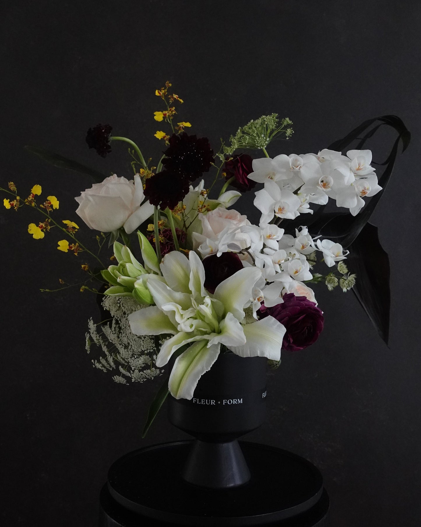 Valentine's Collection - Neutrals