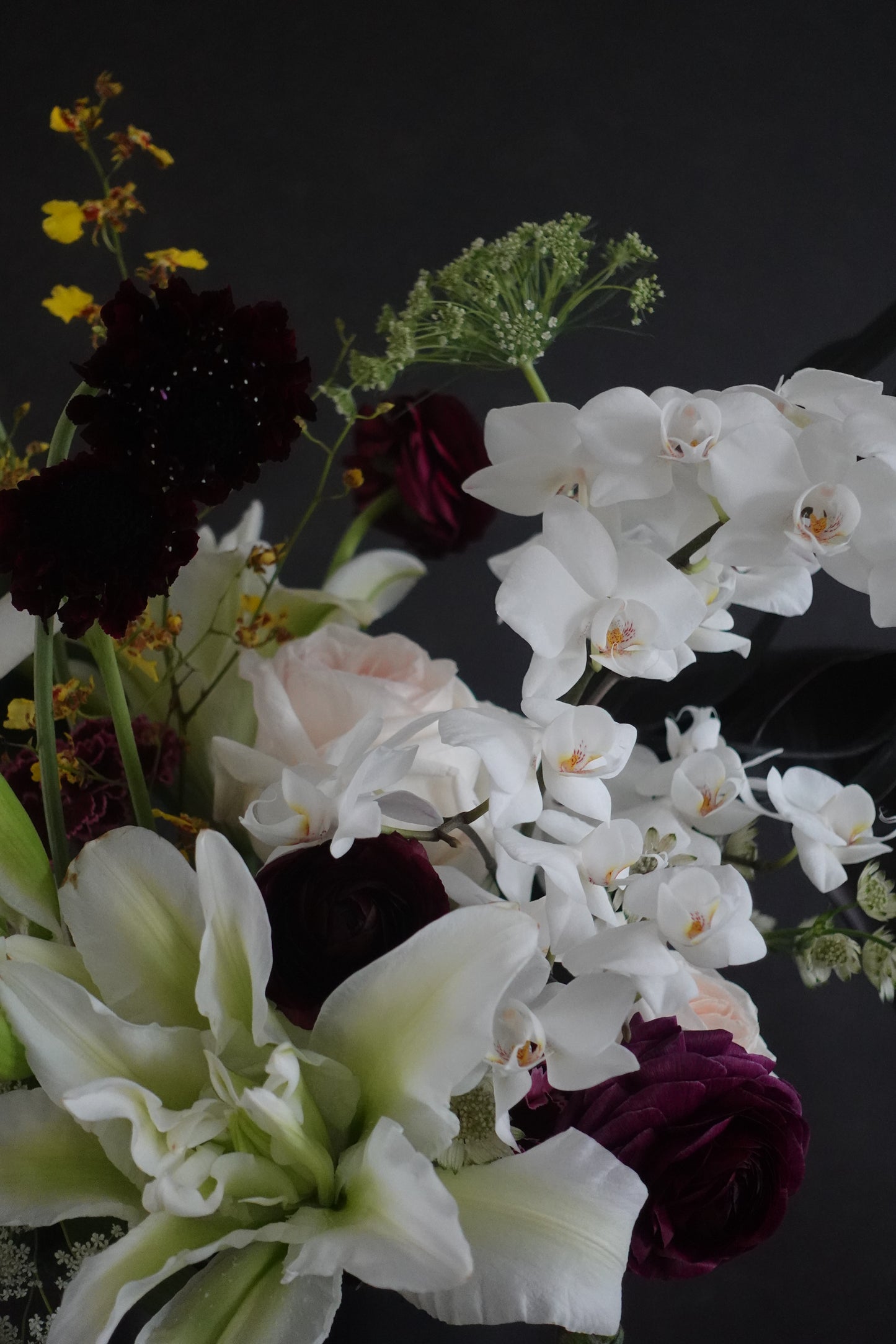 Valentine's Collection - Neutrals