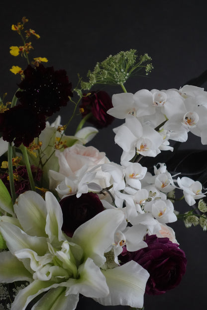 Valentine's Collection - Neutrals