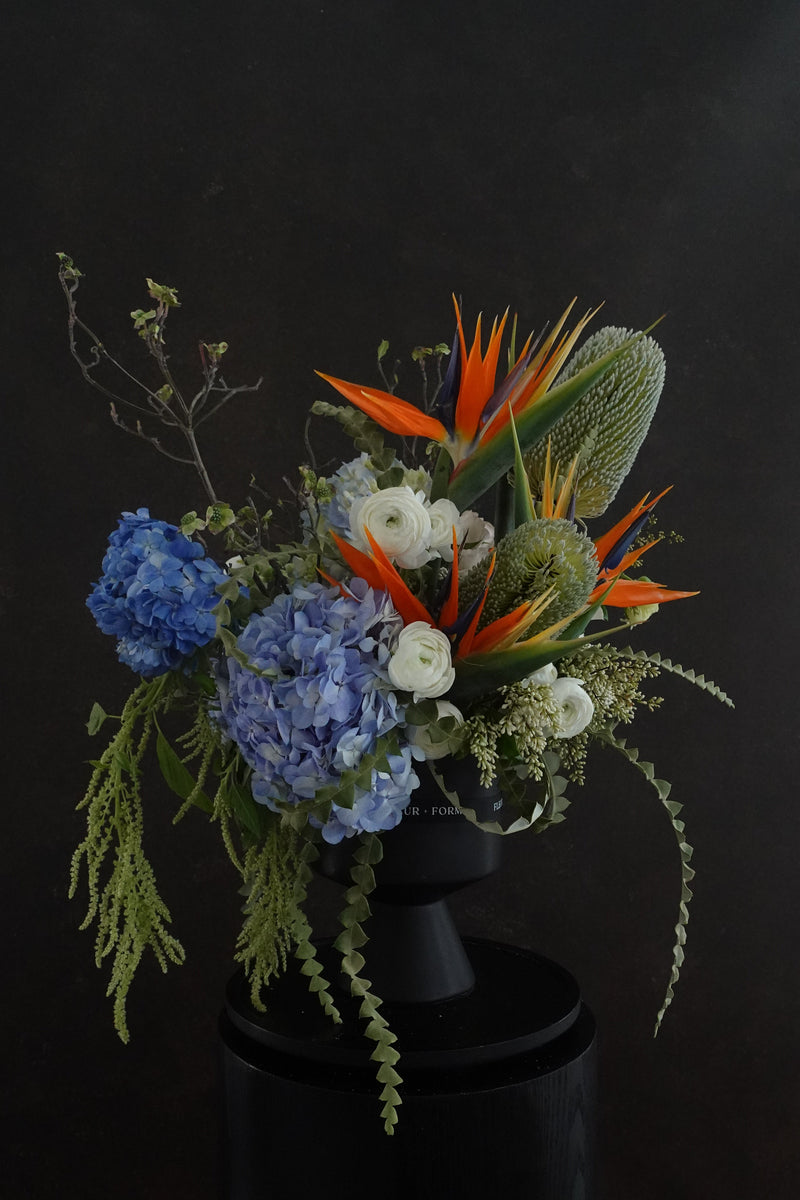 Floral arrangement with blue hydrangeas, white flowers, and orange bird of paradise on a black background